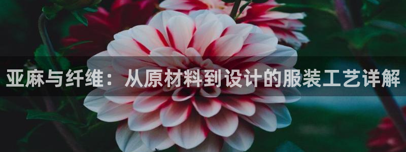 大同天辰娱乐
