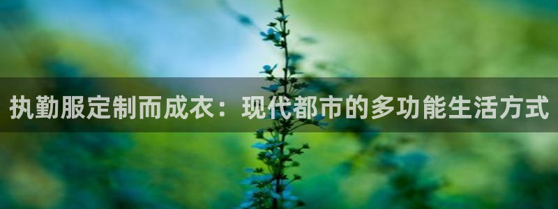 天辰娱乐1966
