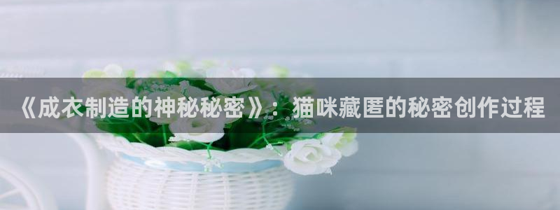天辰娱乐ttf