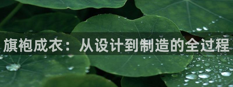 天辰娱乐服务
