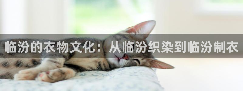 天辰娱乐总管年薪
