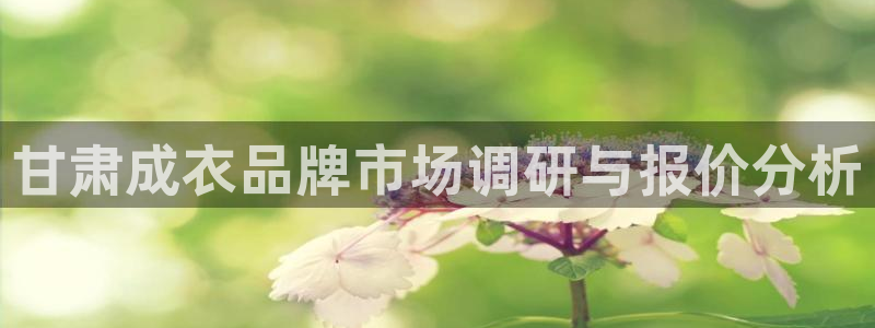 天辰娱乐白屏