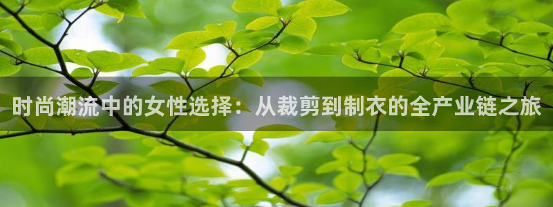 天辰娱乐官网平台下载