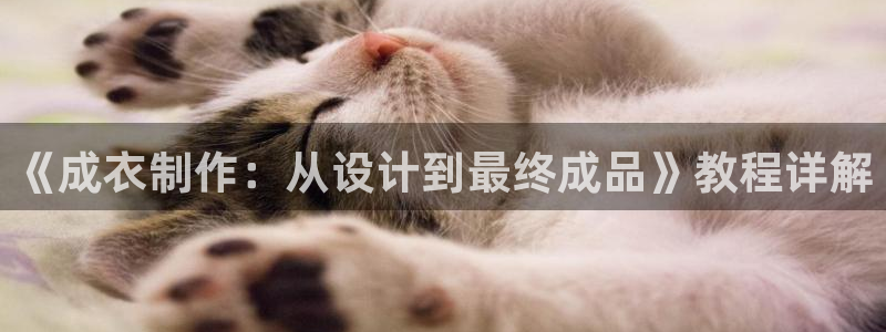 天辰娱乐84566