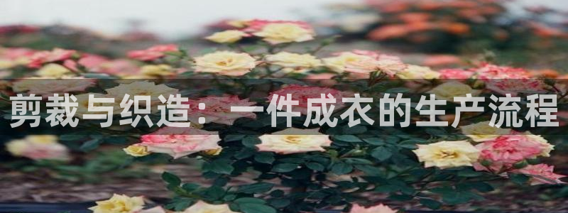 天辰娱乐测试