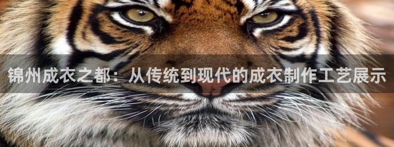 天辰 娱乐