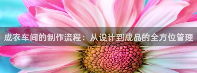 nba天辰娱乐