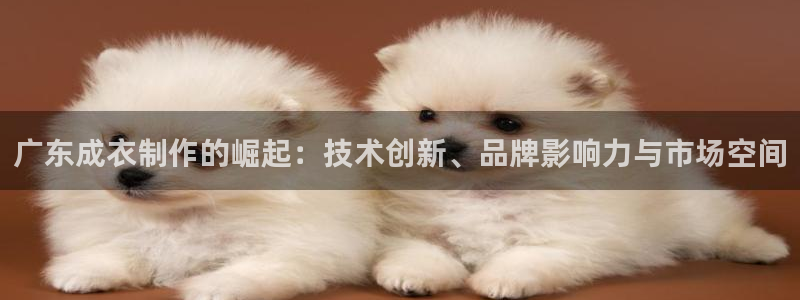 天辰娱乐平台地址在哪里