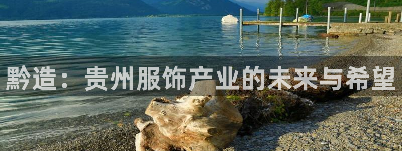 天辰娱乐鱼刺