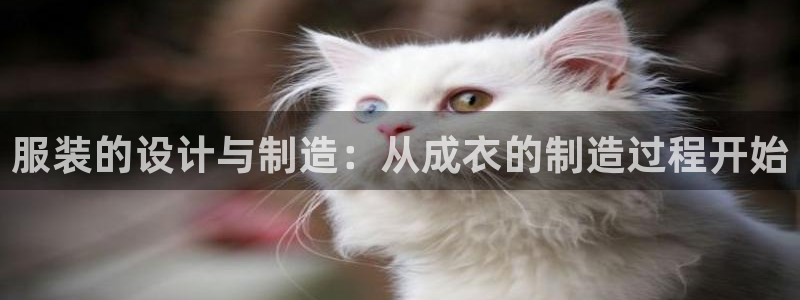 天辰团队贝高娱乐