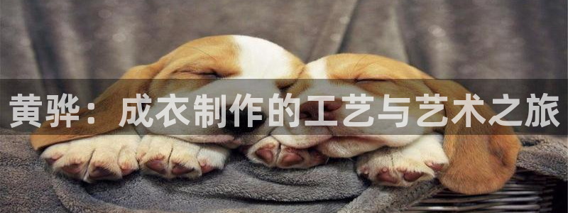 天辰娱乐服务