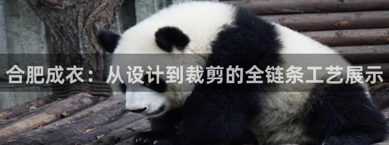 天辰娱乐首选