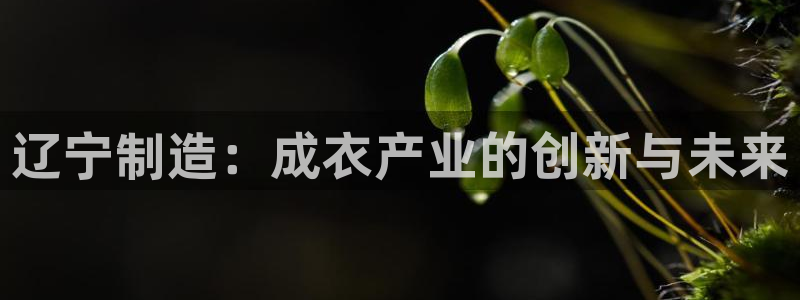 天辰娱乐登录测试