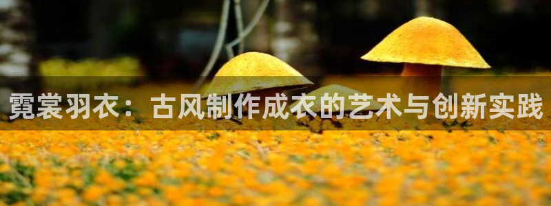 集宁天辰娱乐
