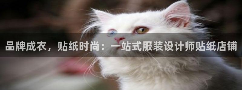 天辰娱乐首选