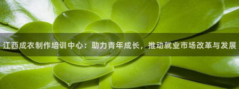 nba天辰娱乐