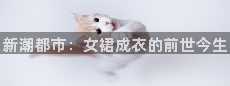 天辰娱乐线路