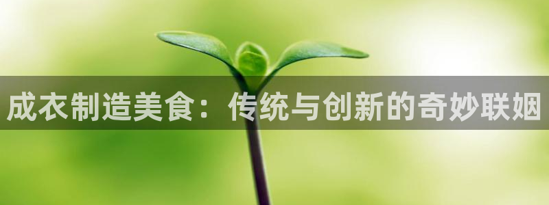 天辰娱乐官方登录入口