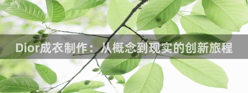 天辰娱乐所