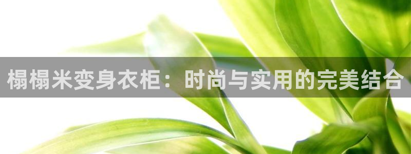 天辰娱乐44516
