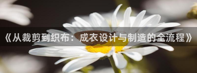天辰app娱乐