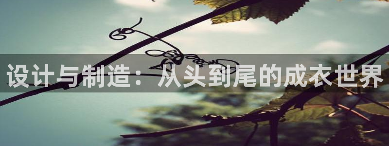 天辰娱乐675138