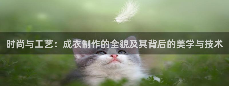 天辰娱乐小姐