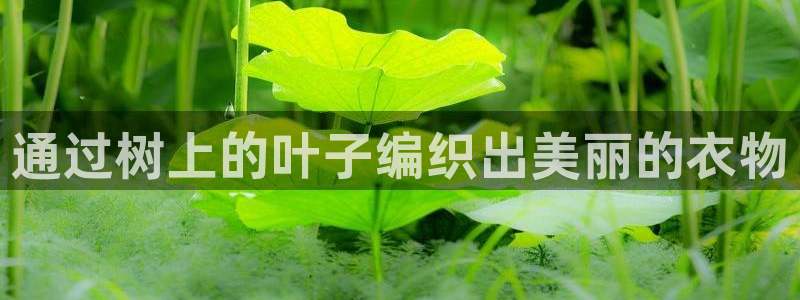 天辰娱乐 天辰平台