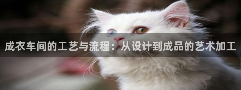 常州天辰娱乐