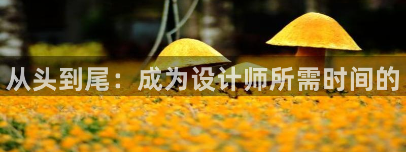 天辰娱乐挂机