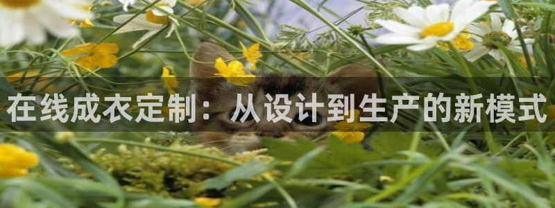 天辰娱乐测试