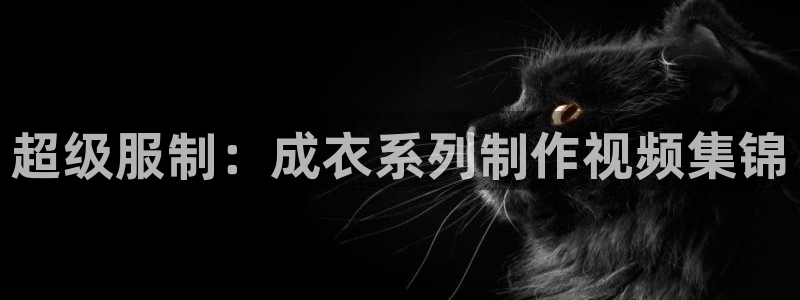 天辰娱乐官网平台下载