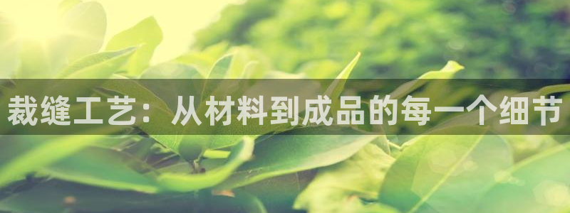 天辰娱乐51137