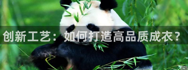 天辰娱乐链接