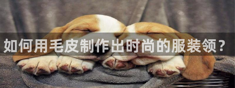 天辰娱乐的网址首页