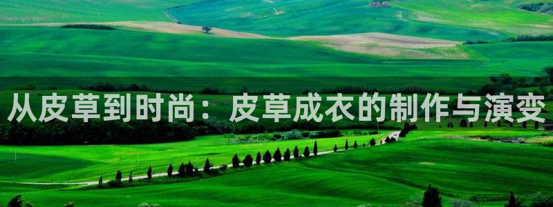 天辰娱乐官网
