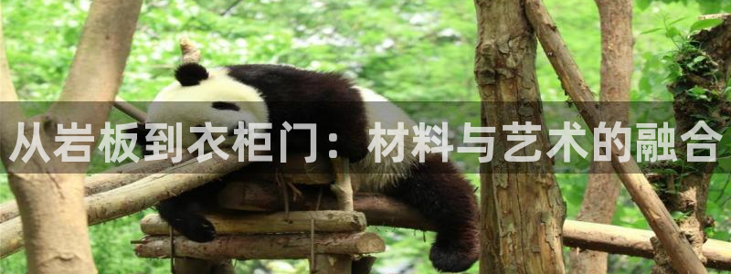 天辰娱乐官方登录入口