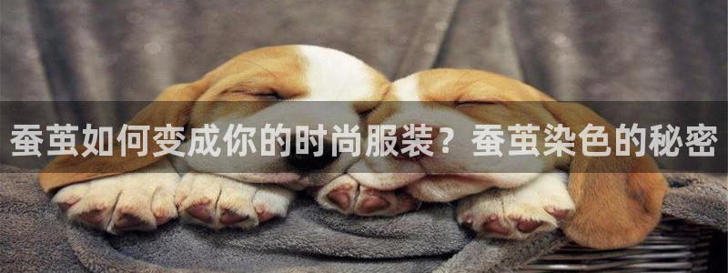 天辰娱乐欢乐