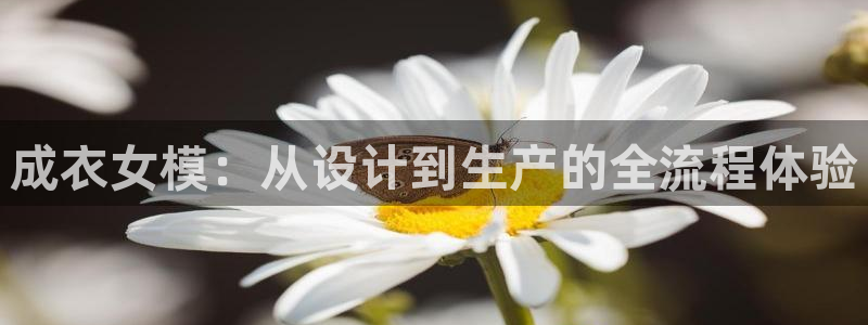 天辰娱乐APP下载