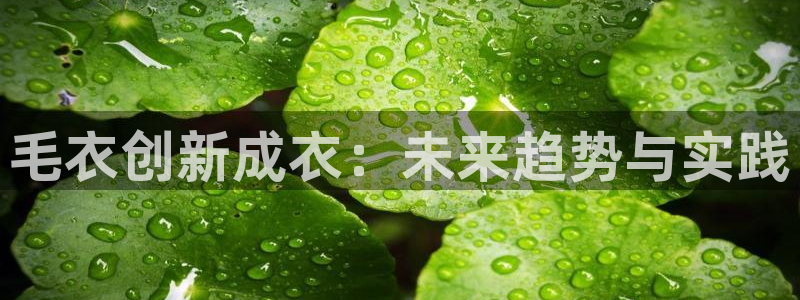 天辰娱乐鱼刺