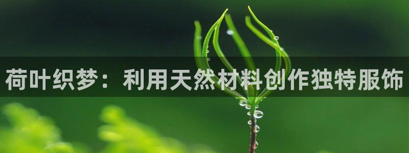 天辰娱乐2