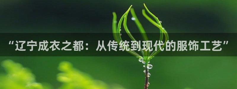 天辰娱乐1956