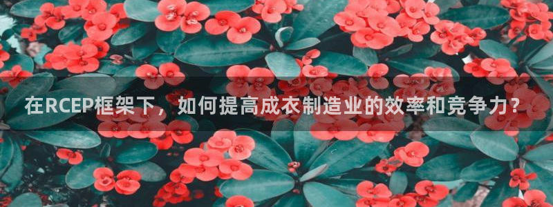 天辰娱乐的网址首页